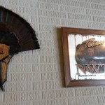 Okonski Auction #16 Turkey Fan & pic