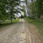 IMG_20250529_142359 (2)_result