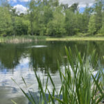 IMG_20250529_142405 (2)_result