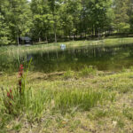 IMG_20250529_142405 (6)_result