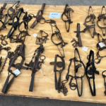 247 - Traps, Bear Traps