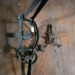 Newhouse #15 Bear trap $3-4,000